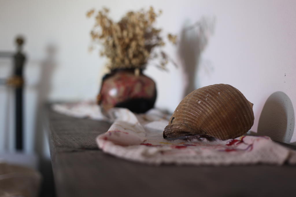 Mahzen Hotel Ayvalı Rom bilde